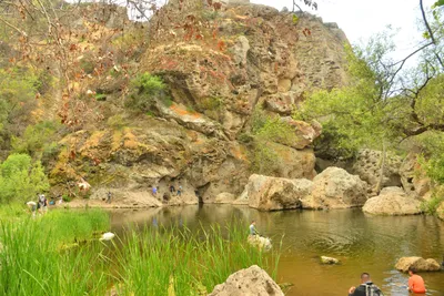 DSC_6344 (Large).JPG